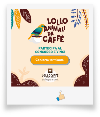 lollo_animalidacaffè